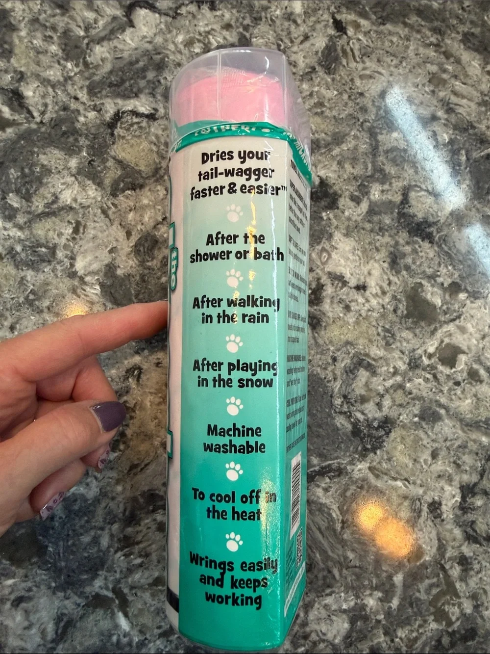 The Absorber pink dog